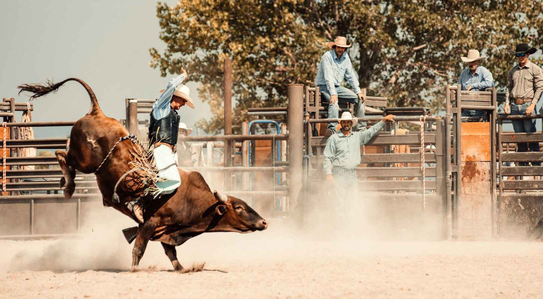 The History of Rodeo