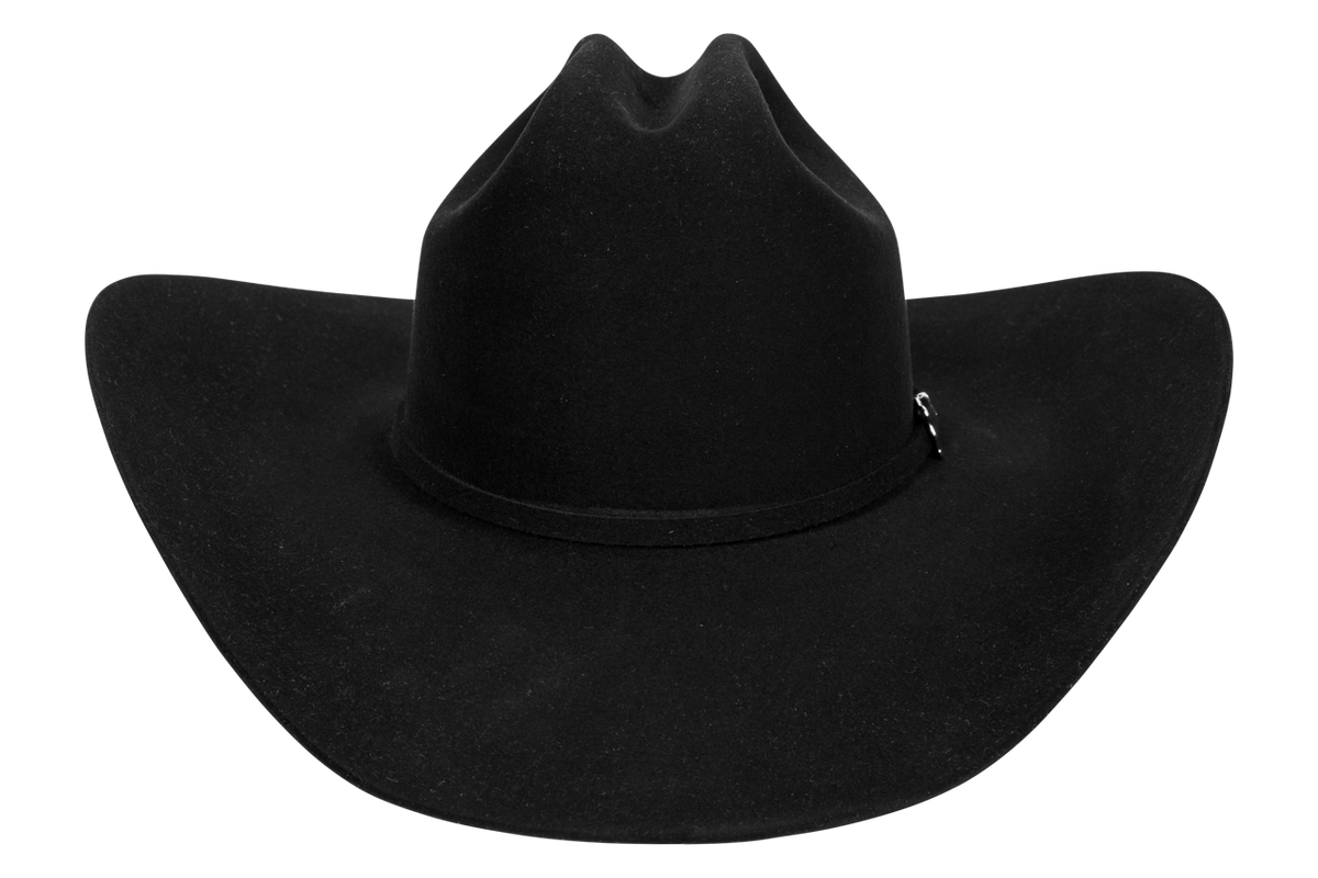 Resistol 20X Black Gold Felt Cowboy Hat