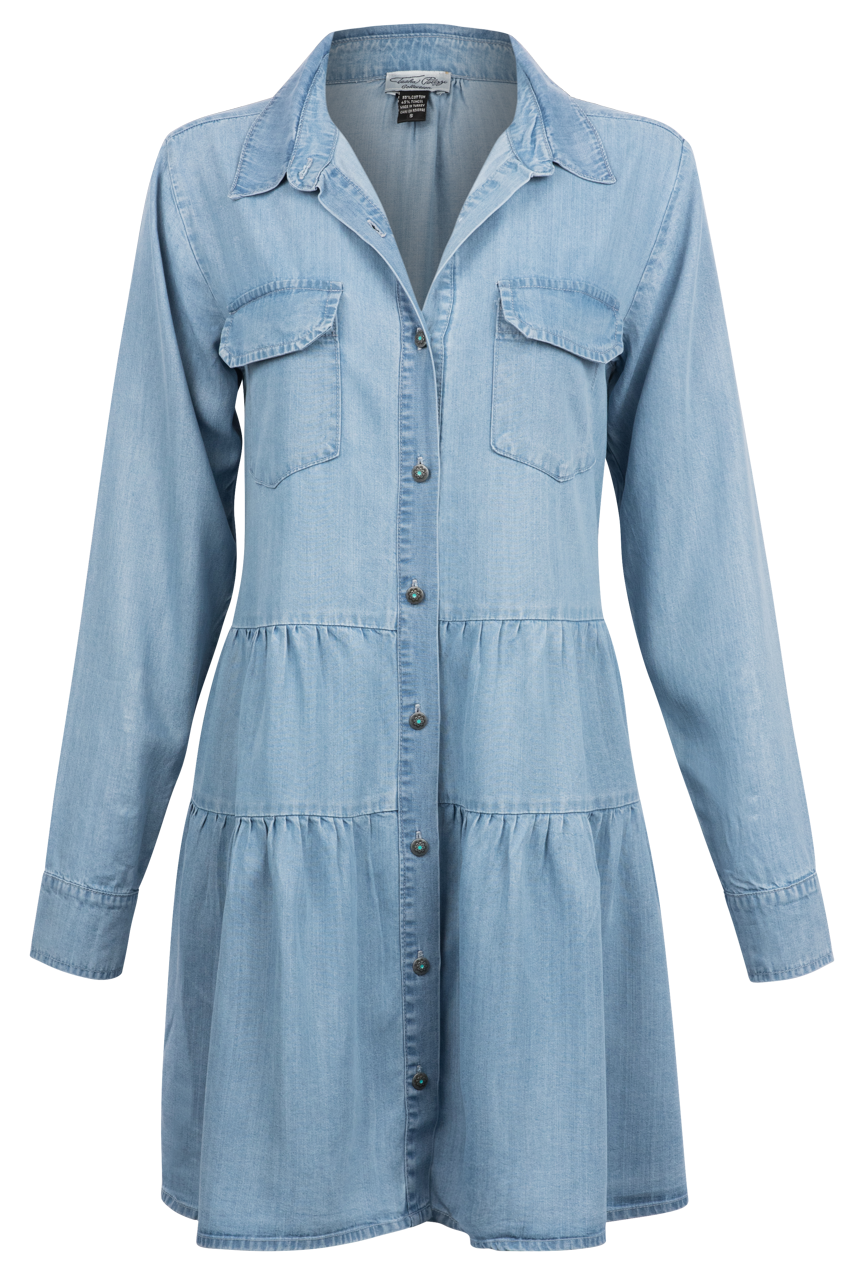 Tasha Polizzi Darius Denim Tencel Shirt Dress