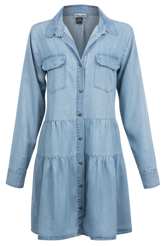Tasha Polizzi Darius Denim Tencel Shirt Dress