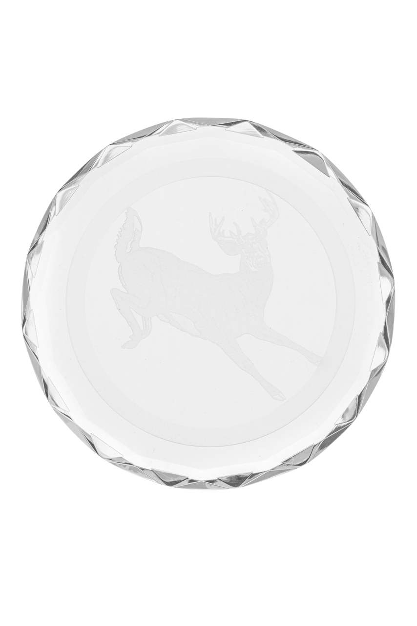 Evergreen Crystal Coasters