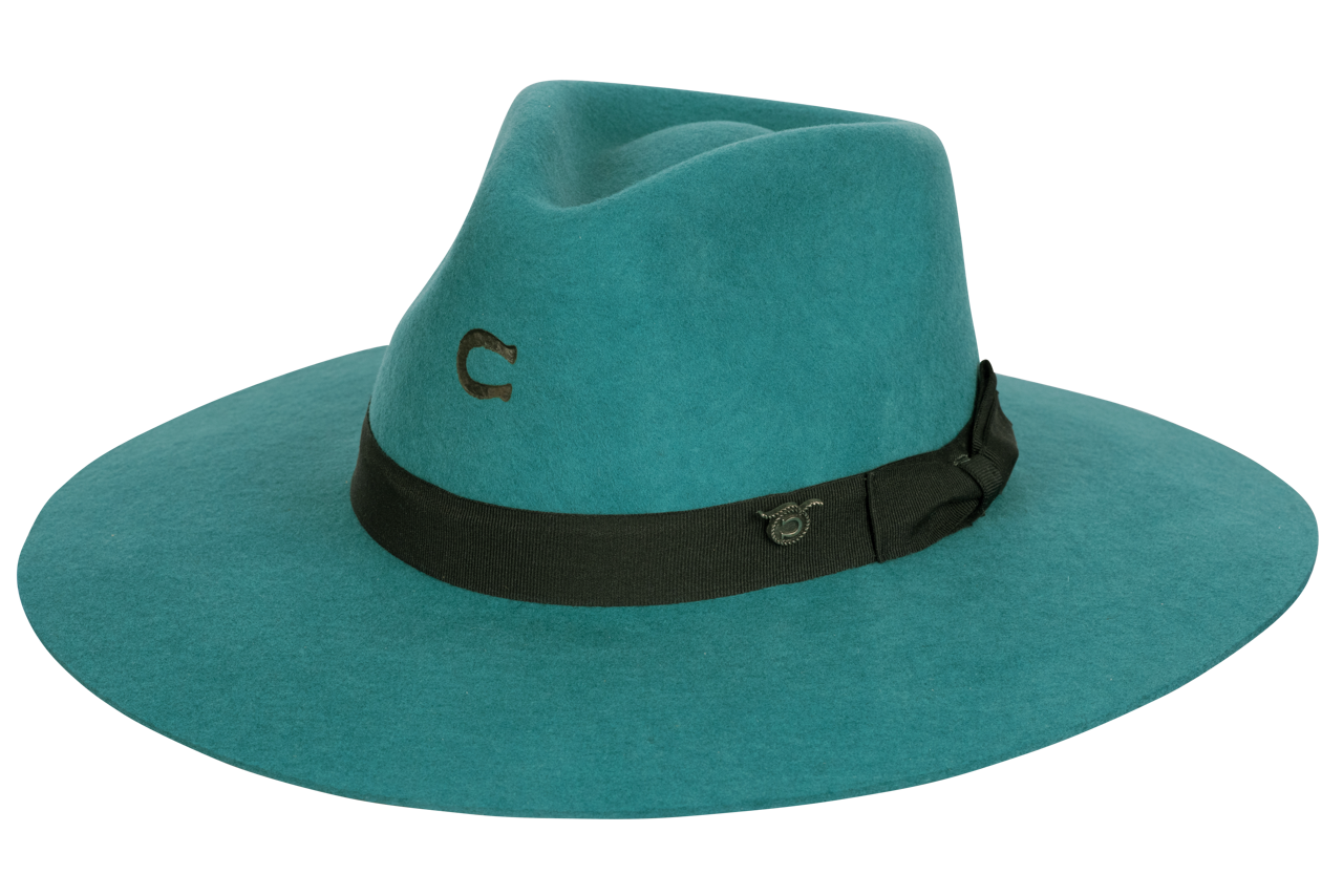 Charlie 1 Horse Highway Hat - Teal