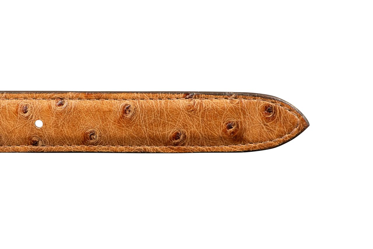 Chacon 1.25" Full-Quill Ostrich Tapered Belt Strap