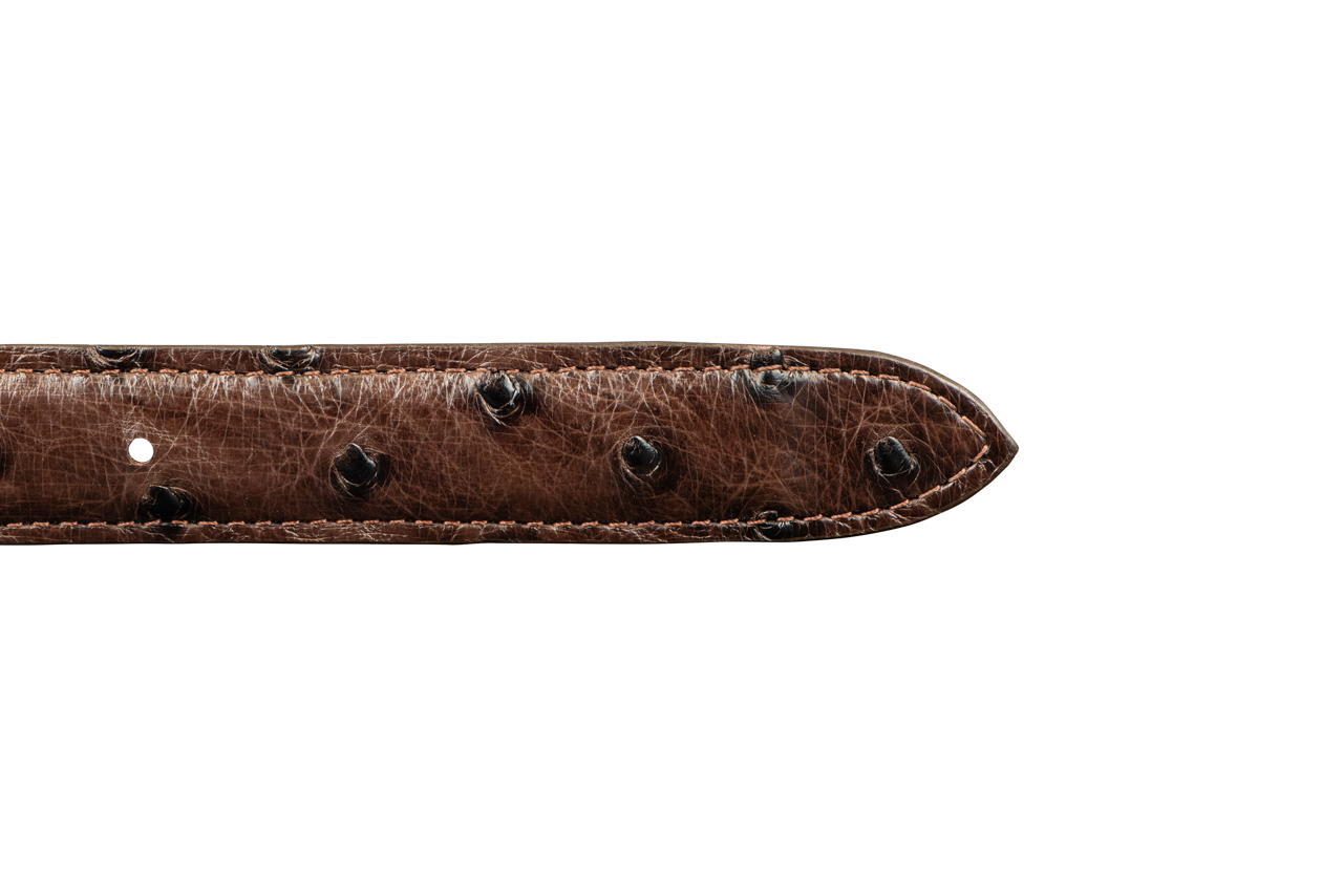 Chacon 1.25" Full-Quill Ostrich Tapered Belt Strap
