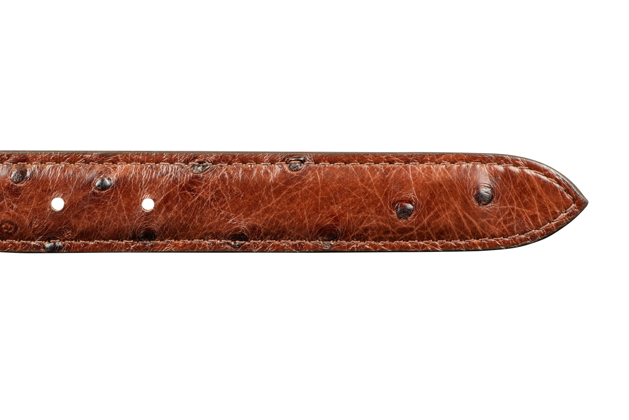 Chacon 1.25" Full-Quill Ostrich Tapered Belt Strap