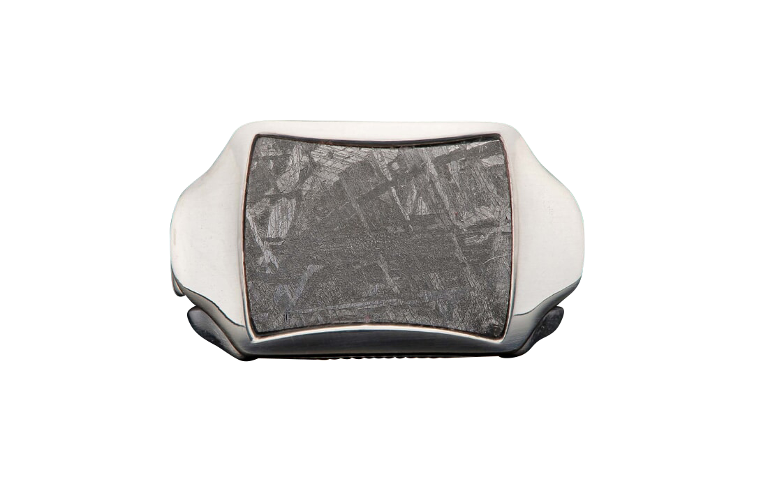 William Henry Sleek Ring - Meteorite