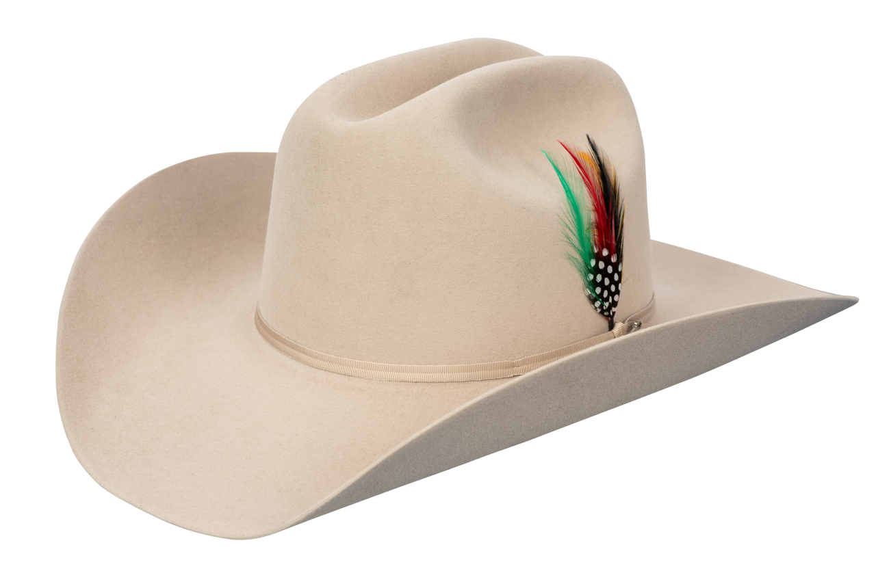 Stetson 6X Roper Felt Cowboy Hat - Silver Belly