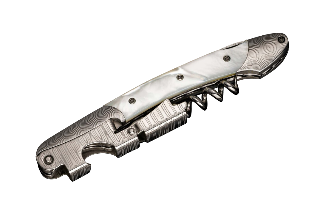 William Henry Gris Corkscrew