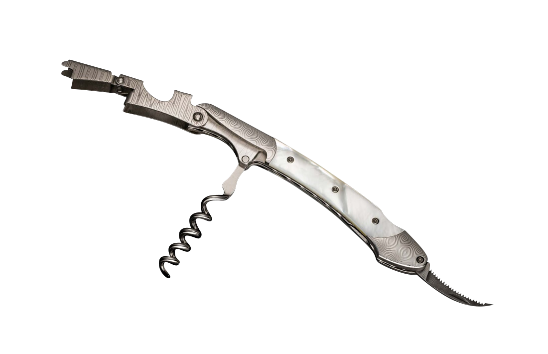 William Henry Gris Corkscrew