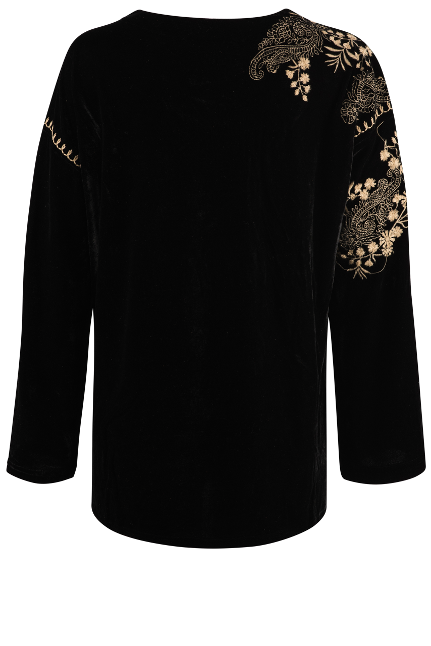 Paparazzi Embroidered Velvet Blouse