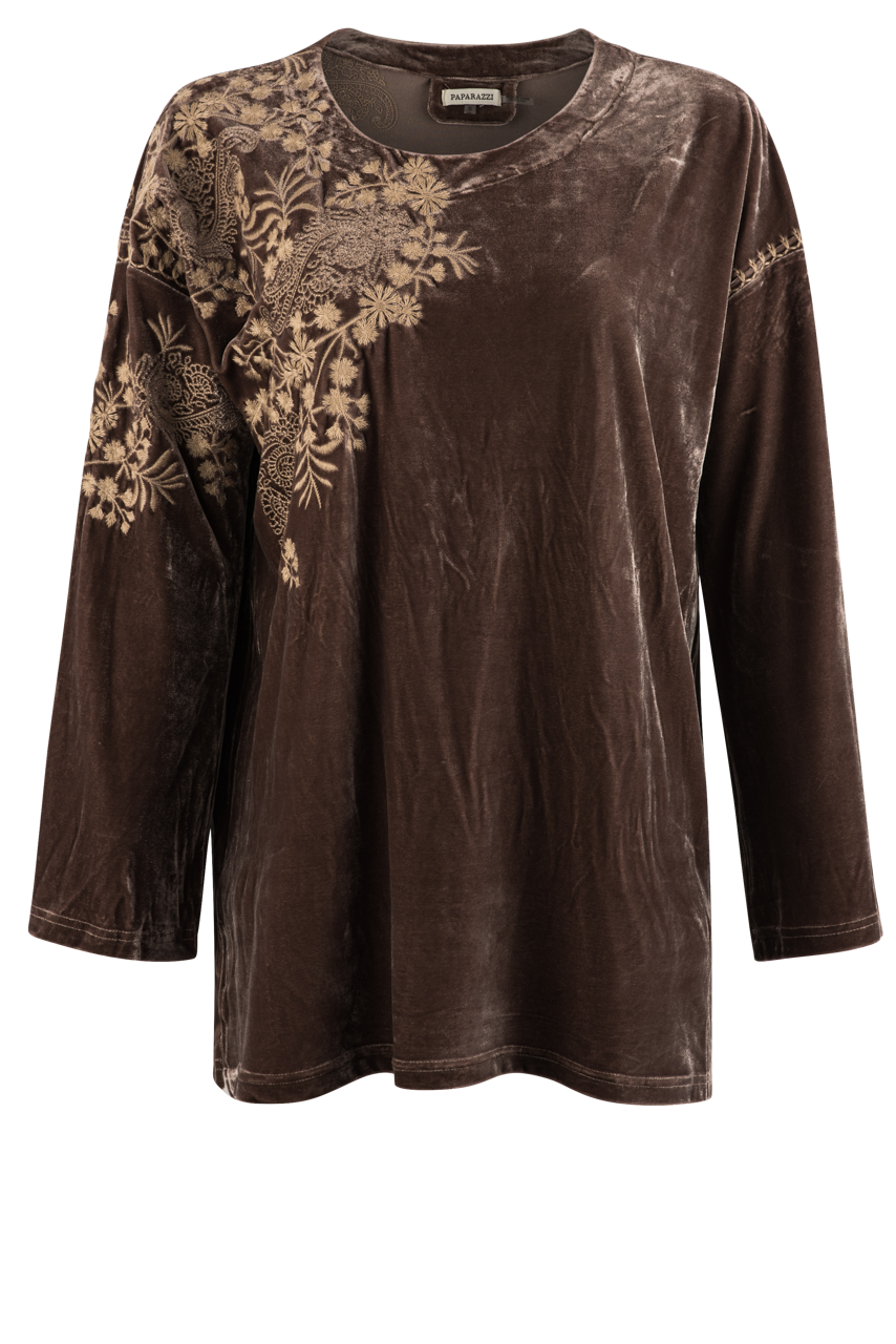 Paparazzi Embroidered Velvet Blouse