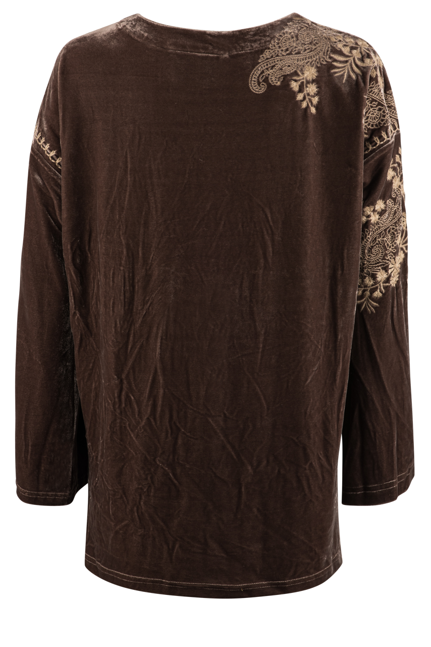 Paparazzi Embroidered Velvet Blouse