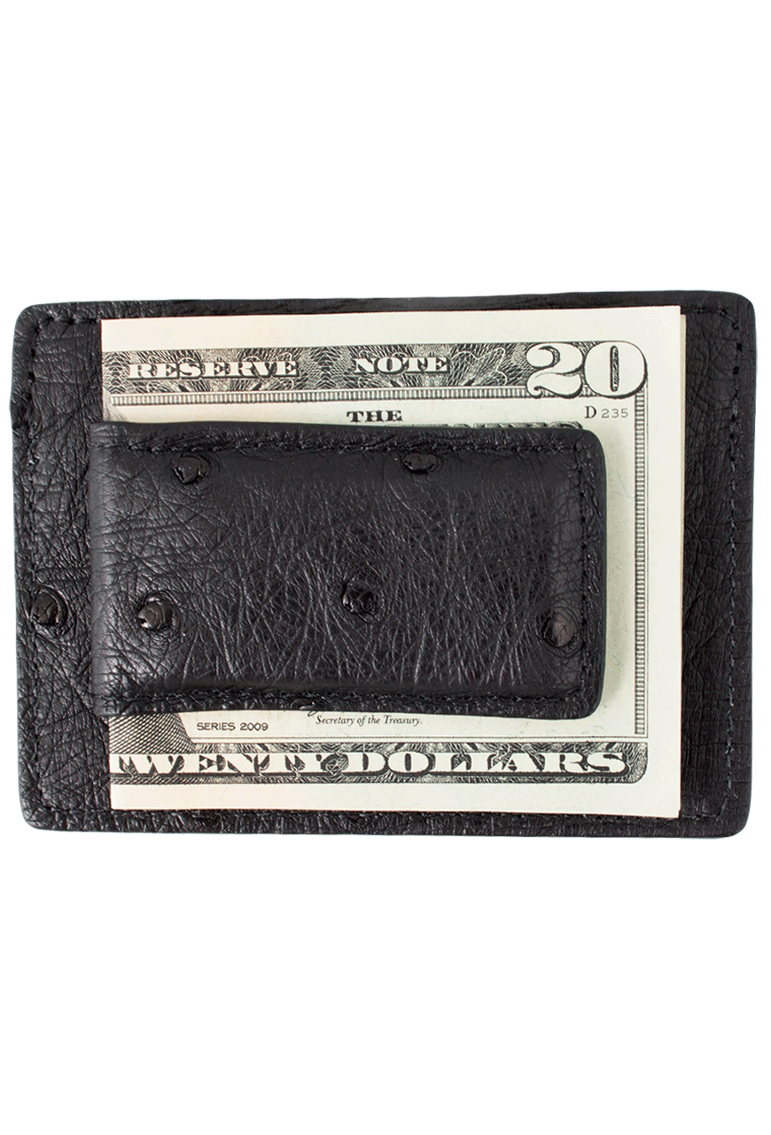 Pinto Ranch Ostrich Card Case