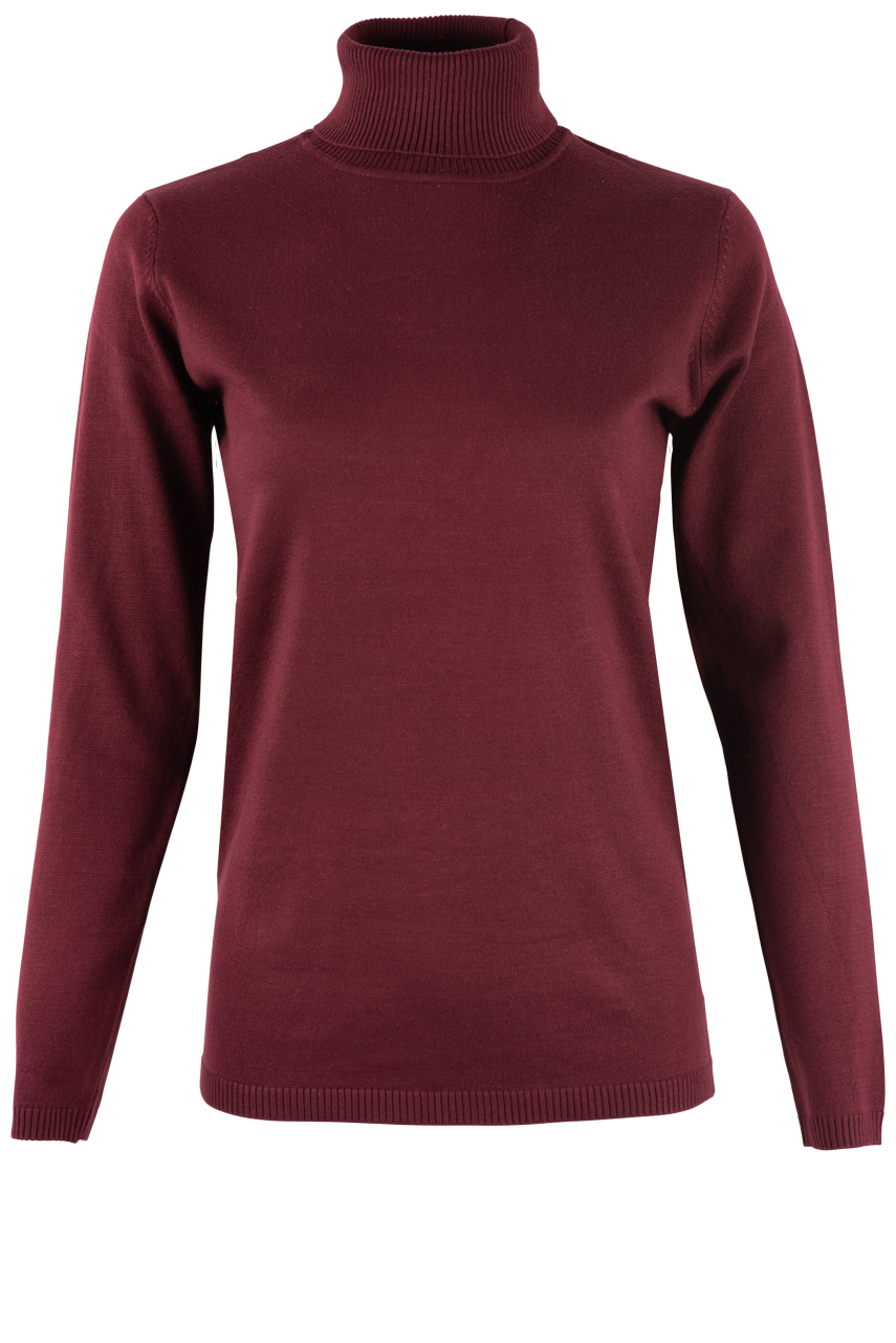 2Xtremz Textured High Neck Tricot Sweater with Long Sleeves