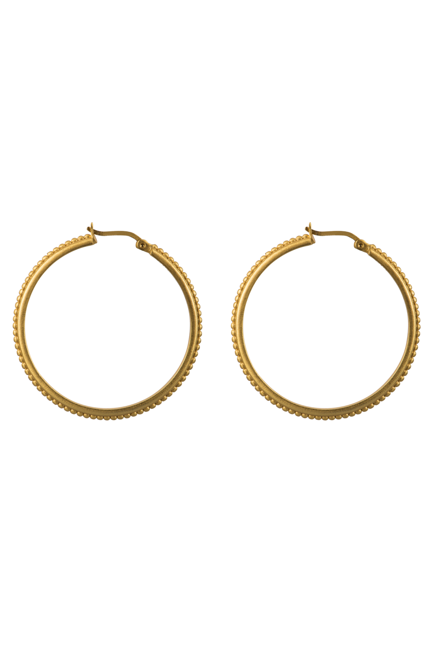 Christina Greene Gold Studded Hoop Earrings