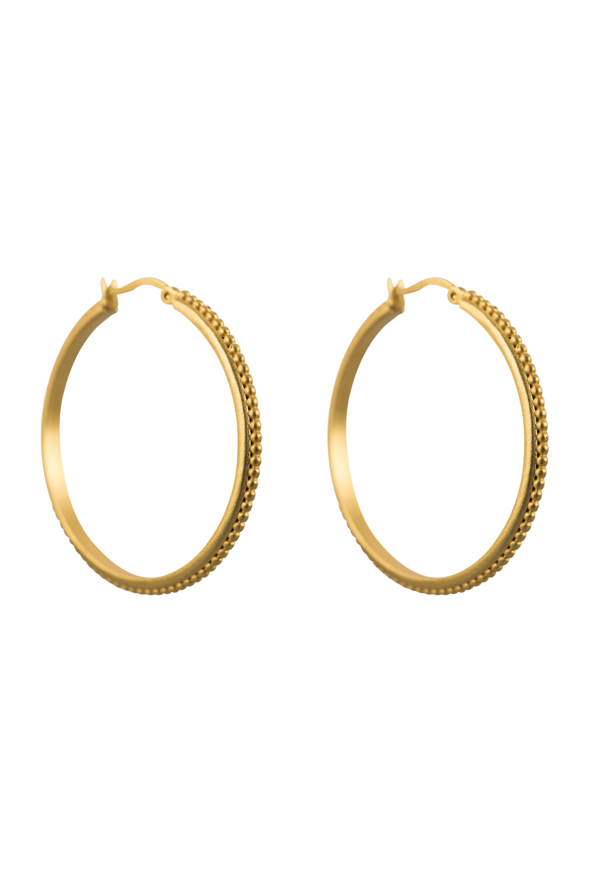 Christina Greene Gold Studded Hoop Earrings