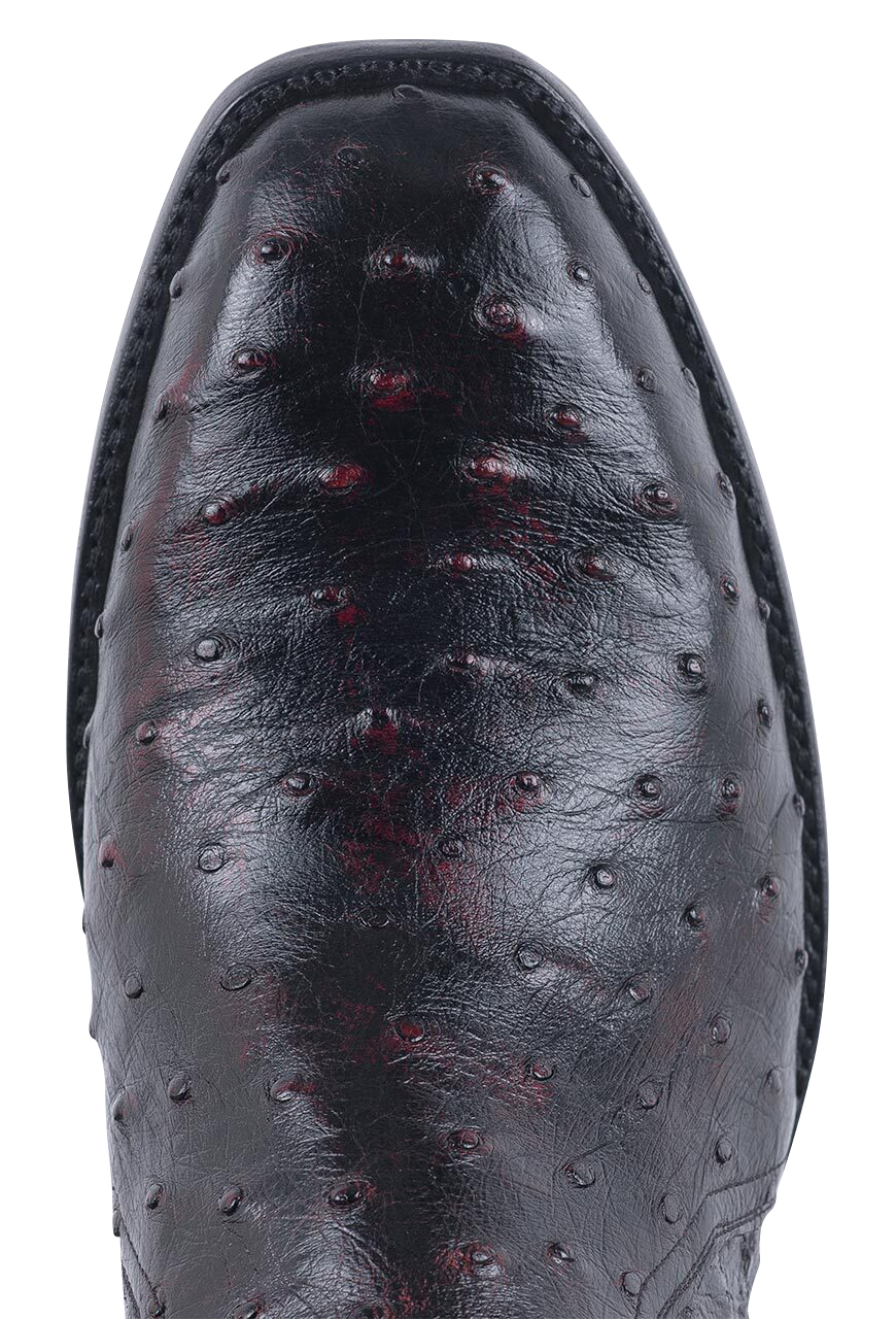 Stallion Full Quill Ostrich Zorro Ankle Boots - Black Cherry