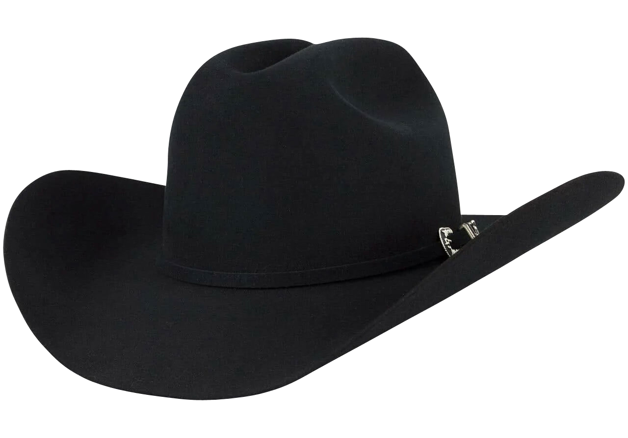 Stetson 6X Skyline Felt Cowboy Hat - Black