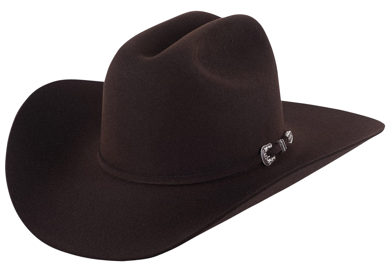 Felt stetson on sale