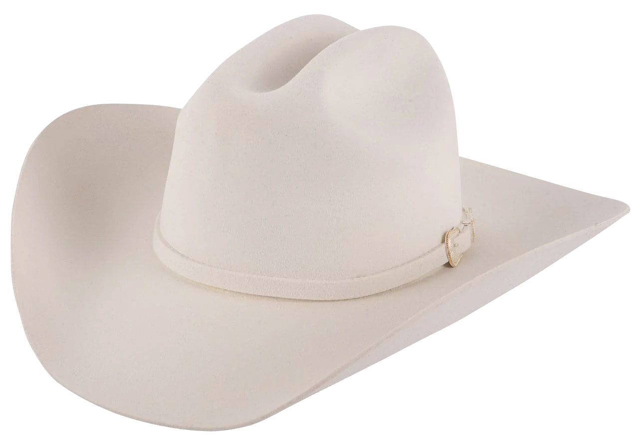 Stetson 3X Oakridge White Felt Cowboy Hat | Pinto Ranch 7 1/8