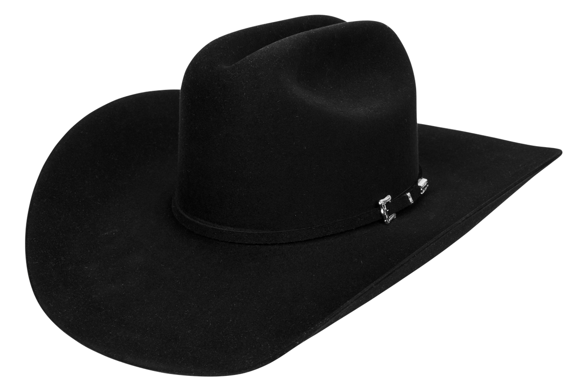 Resistol 20X Black Gold Felt Cowboy Hat