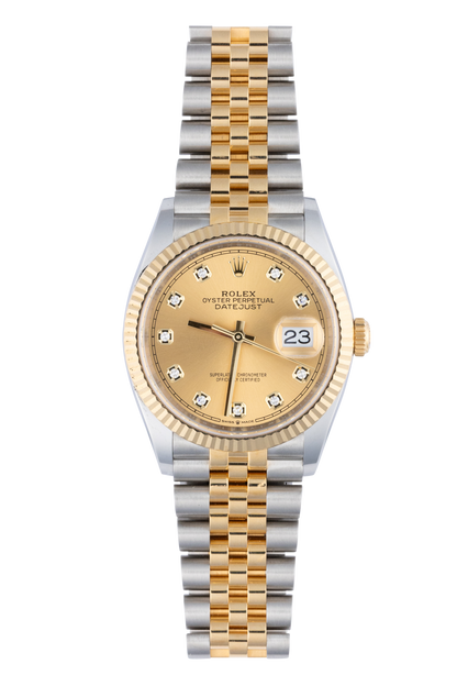 Pinto Ranch 36mm Champagne Diamond Dial Luxury Watch