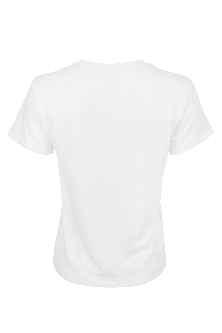 Z Supply Western Tourist Knit Jersey Tee