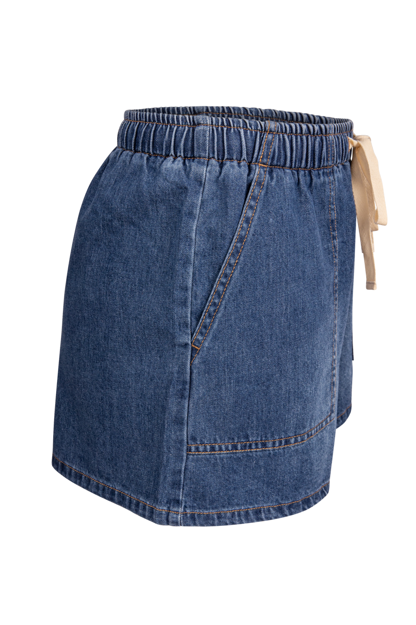 Z Supply Daycation Denim Shorts