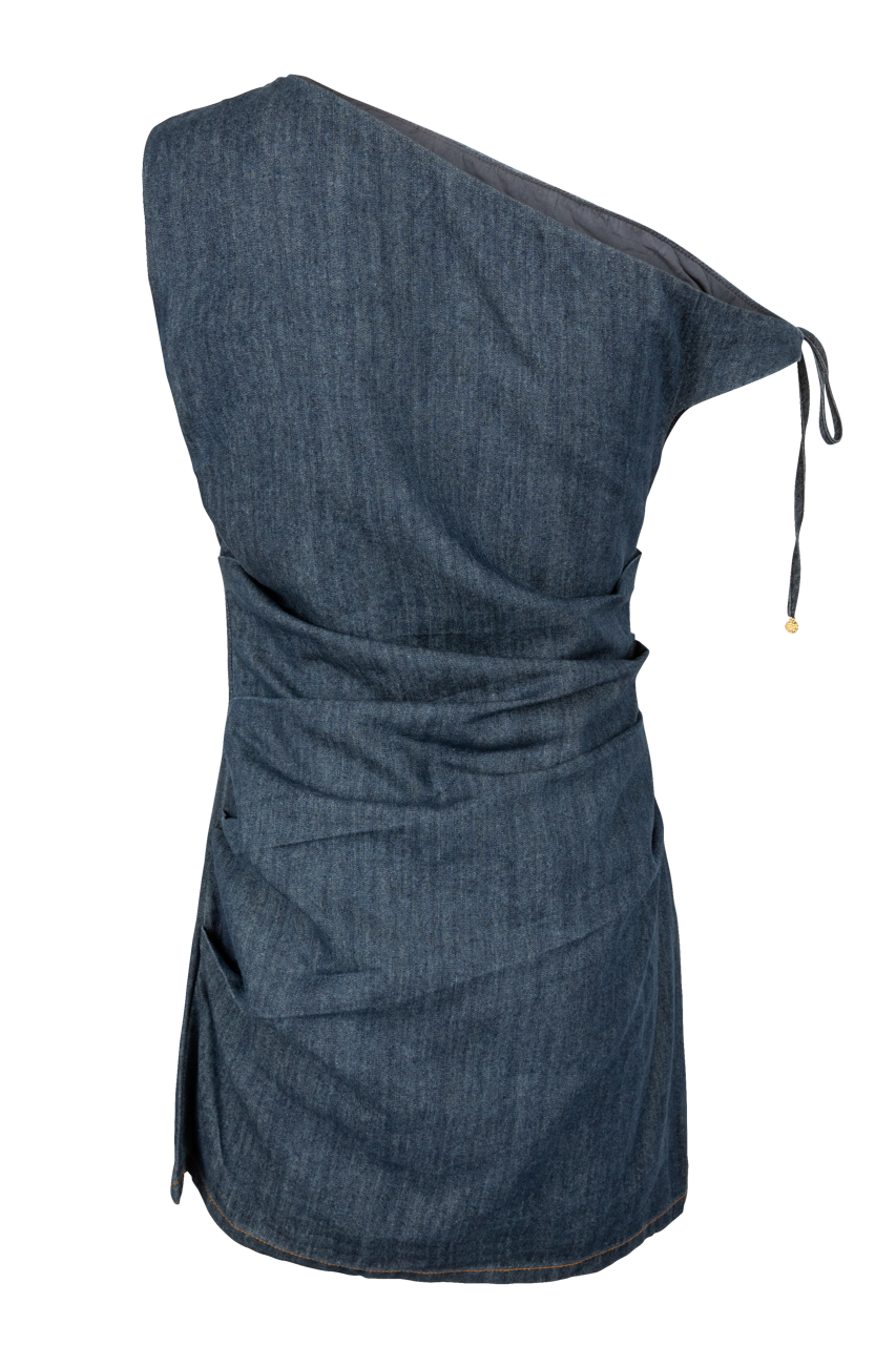 Line & Dot Abo Chambray Mini Dress