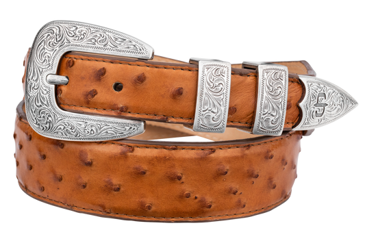 Stetson Women's Ostrich Tapered Tab Belt