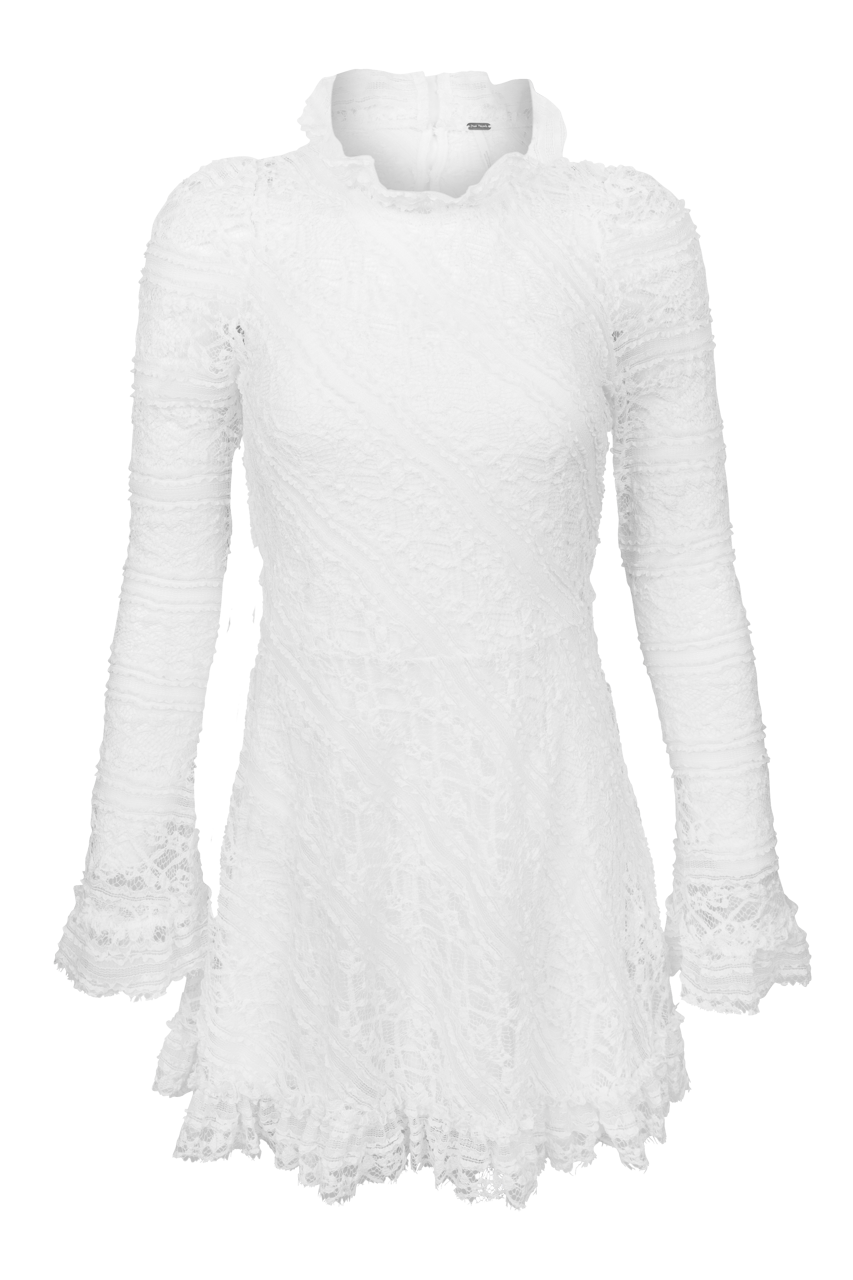 Free People Woodland Whispers Lace Mini Dress