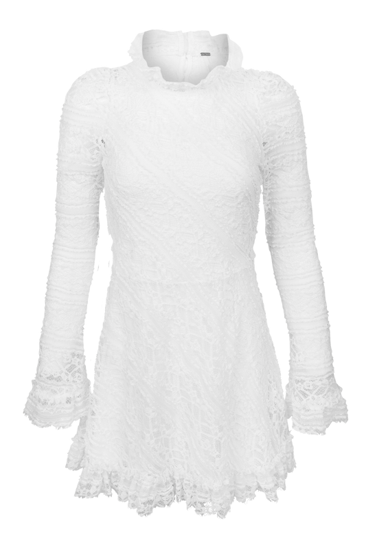 Free People Woodland Whispers Lace Mini Dress