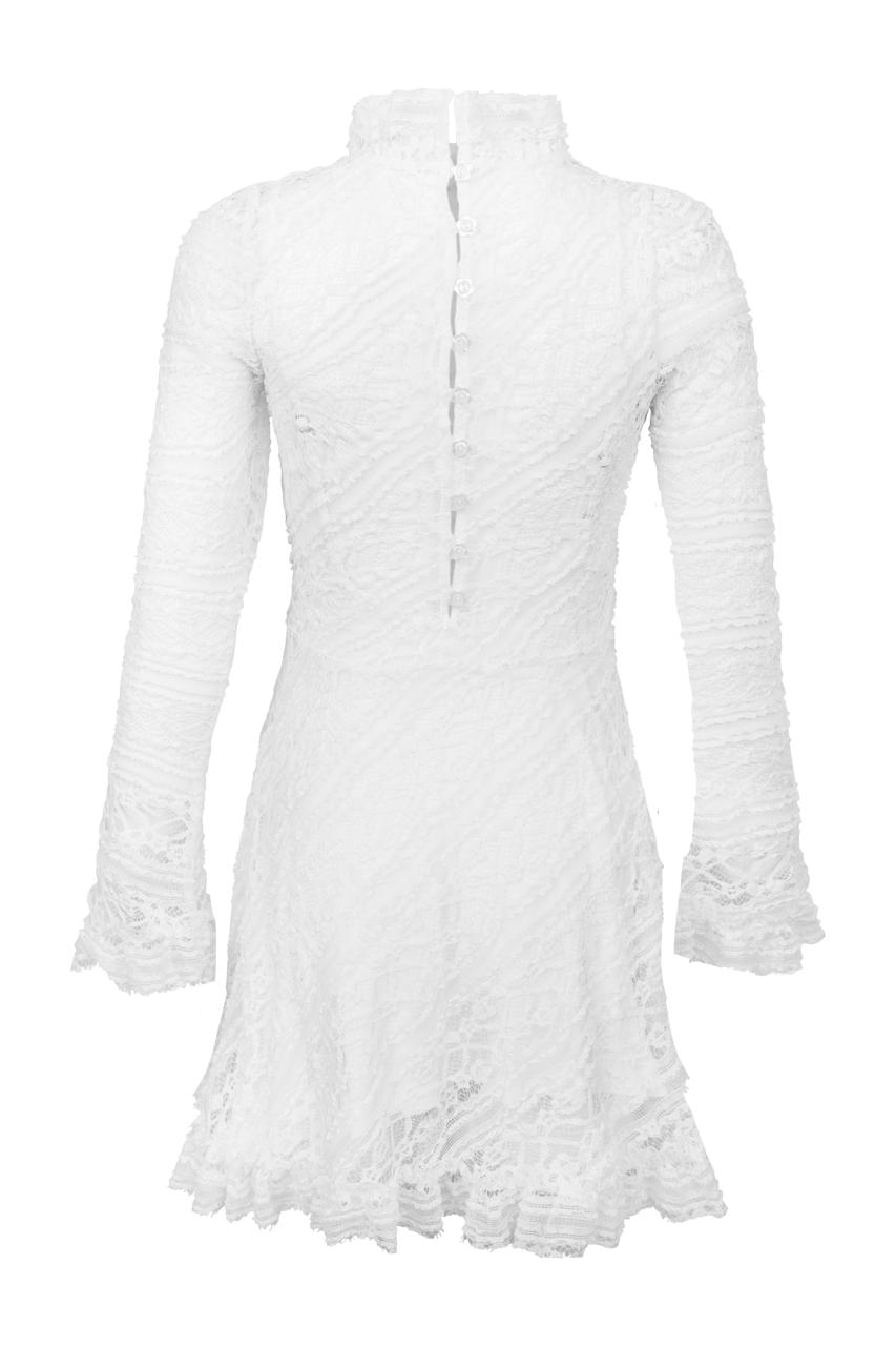 Free People Woodland Whispers Lace Mini Dress