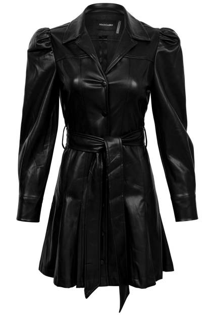 Dolce Cabo Faux Leather Belted Dress