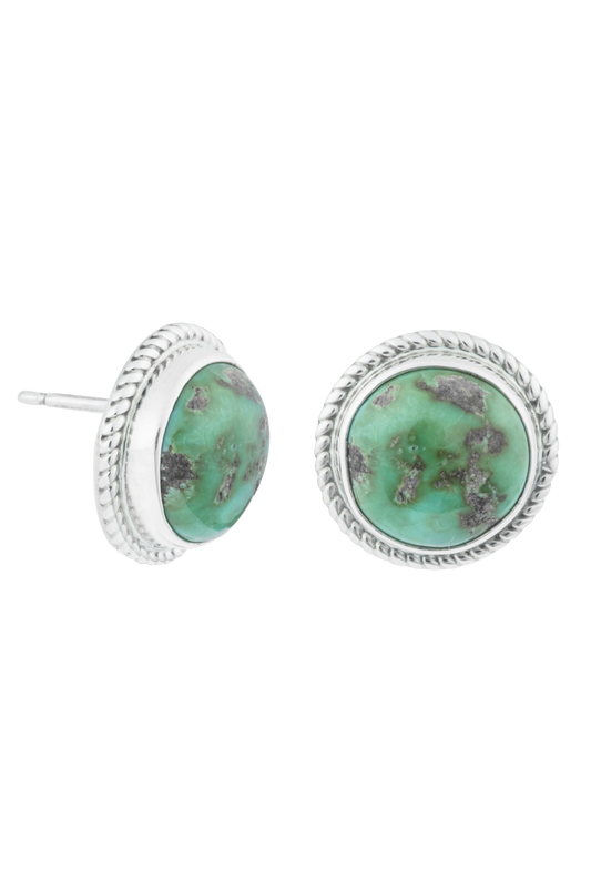  Sonoran Gold Turquoise Stud Earrings