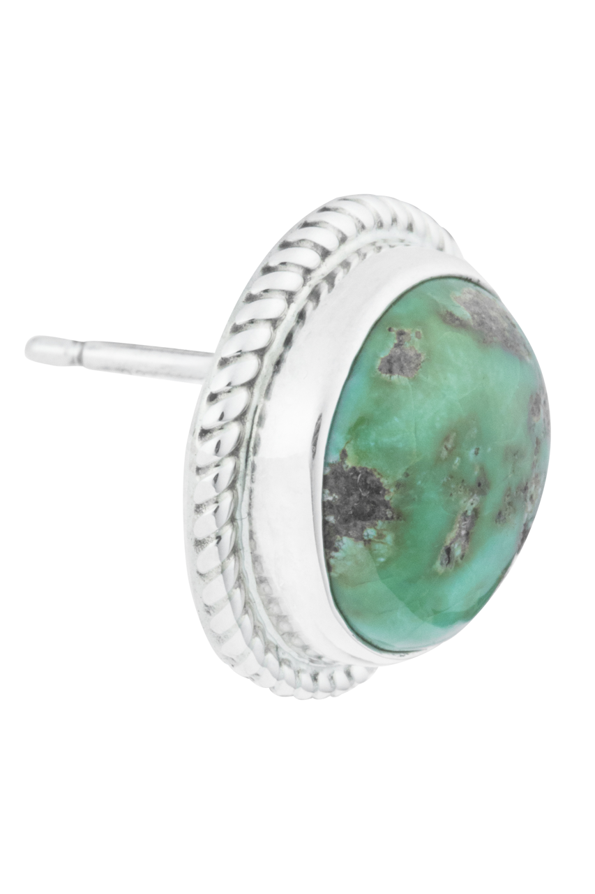 Sonoran Gold Turquoise Stud Earrings