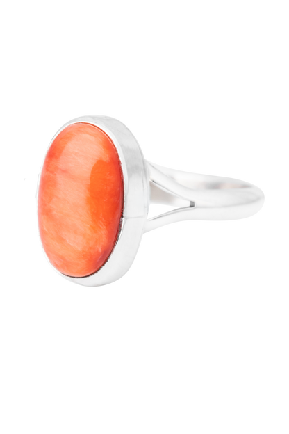 Red Spiny Oyster Shell Ring