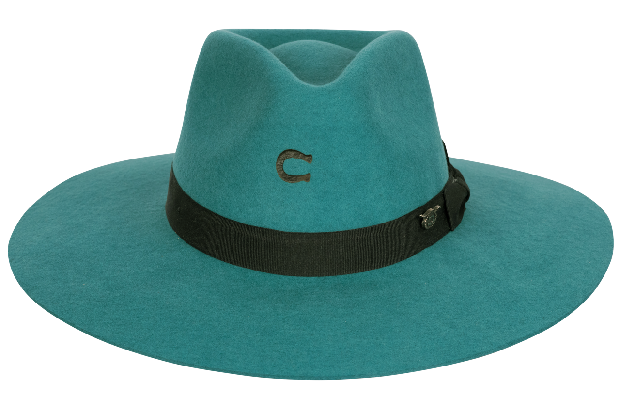 Charlie 1 Horse Highway Hat - Teal