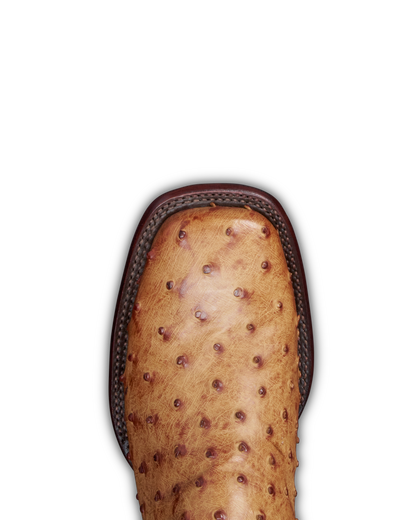 Close-up of a boot toe featuring a tan ostrich-quill texture and a dark brown stitched edge