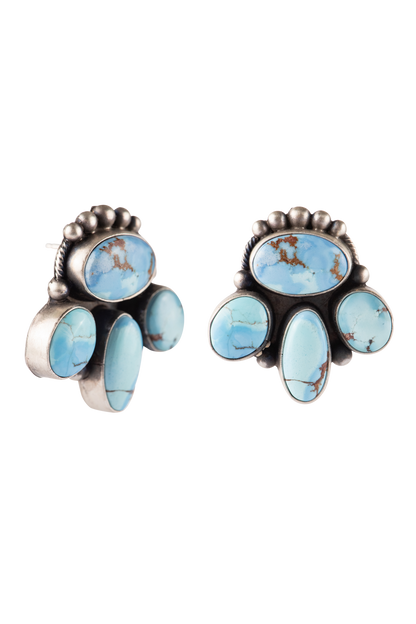 Golden Hills Turquoise & Silver Earrings