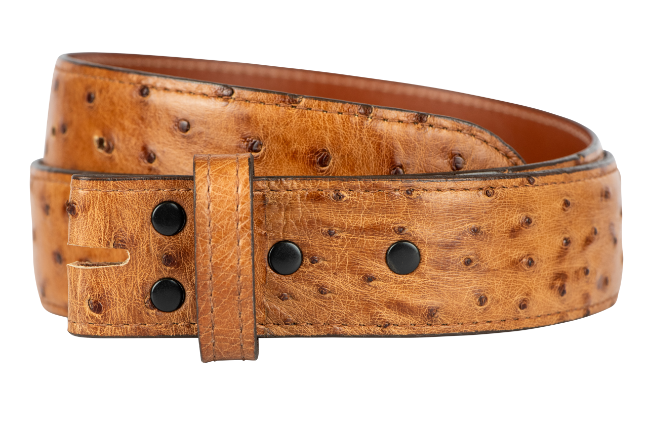 Chacon 1.5" Full-Quill Ostrich Straight Belt Strap