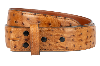 Chacon 1.5" Full-Quill Ostrich Straight Belt Strap