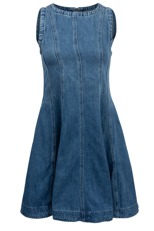 Raisonnel Denim Skater Dress