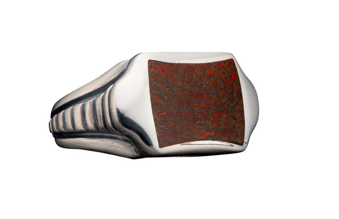 William Henry Sleek Ring - Dinosaur Bone