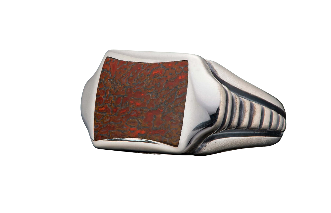 William Henry Sleek Ring - Dinosaur Bone