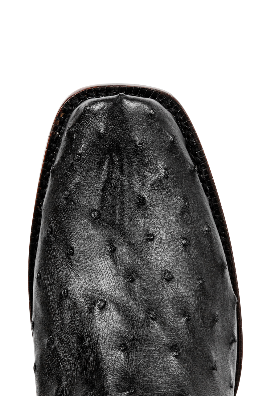 R. Watson Full Quill Ostrich and Goat Cowboy Boots - Black