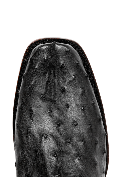 R. Watson Full Quill Ostrich and Goat Cowboy Boots - Black