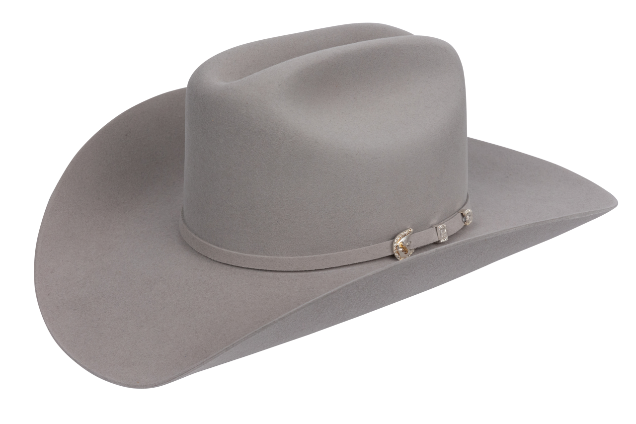 Stetson 10X Shasta Felt Cowboy Hat - Gray