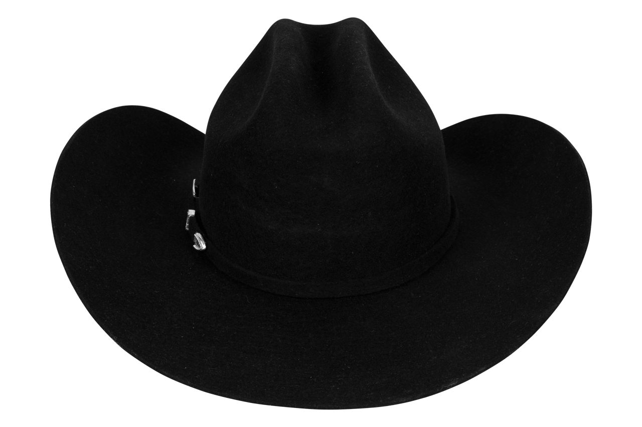 Stetson 3X Oakridge Felt Cowboy Hat