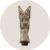 Old Gringo Women's Amadis Cowgirl Boots - Taupe